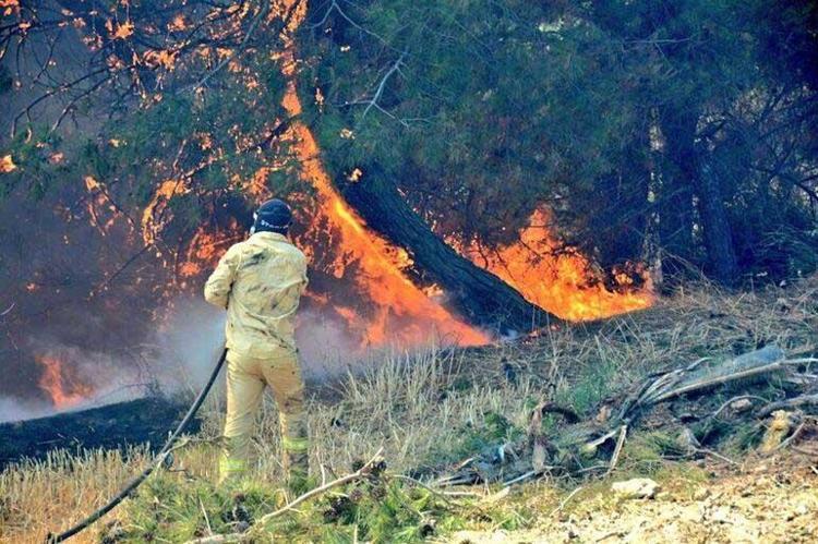 BAKAN KOCA AÇIKLADI: 83 KİŞİ TEDAVİ ALTINDA