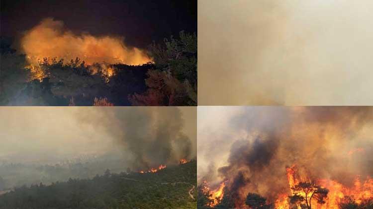 Çanakkale yangın haritası (NASA) Çanakkale orman yangını son dakika: Çanakkale’de orman yangını nerede Çanakkalede yangın nerede çıktı
