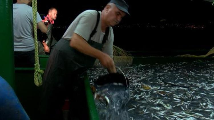 BU SEZON HALKIMIZI BALIĞA DOYURACAĞIZ