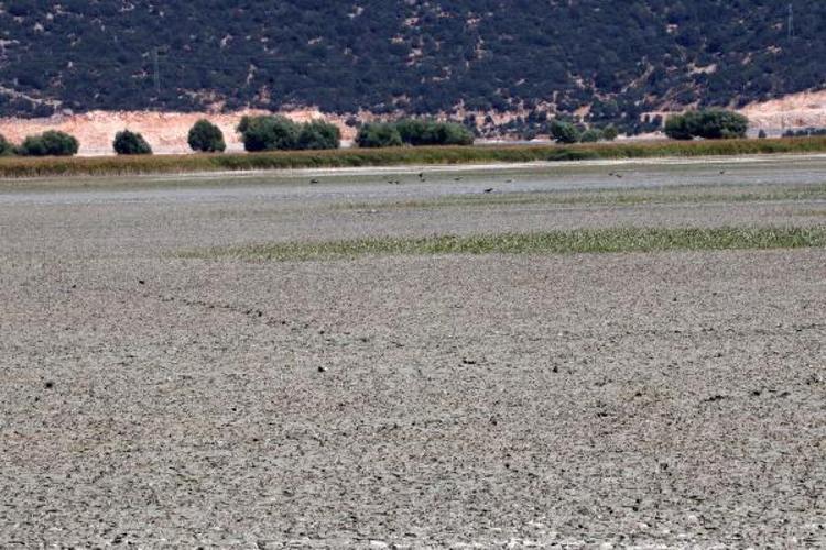 Antalyadan üzen görüntüler... Kuşlar gidiyor, balıklar ölüyor