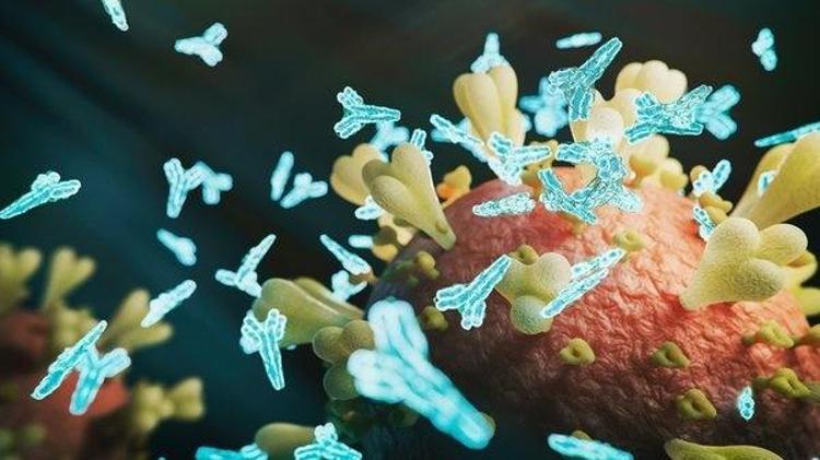 Vücutta zehir namına ne varsa söküp atıyor Yedikçe iltihap kalmıyor