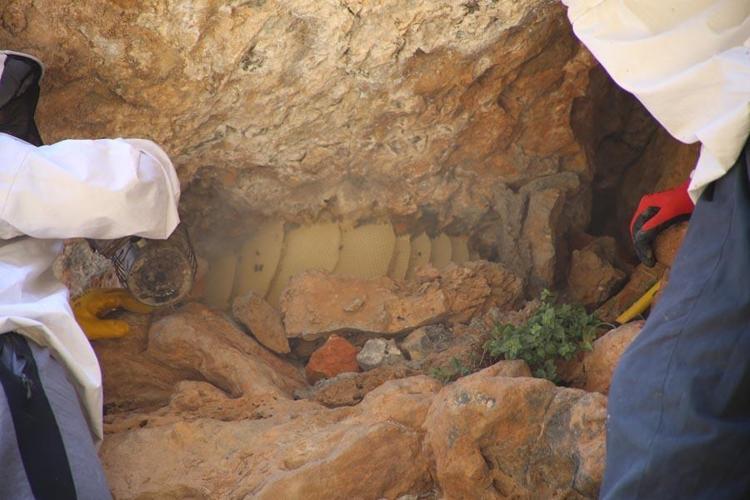 Hakkaride Cilo Dağının 3 bin rakımında çıkarıyor kilosunu 2 bin 500 TL’den satıyor
