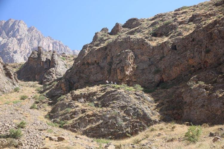 Hakkaride Cilo Dağının 3 bin rakımında çıkarıyor kilosunu 2 bin 500 TL’den satıyor