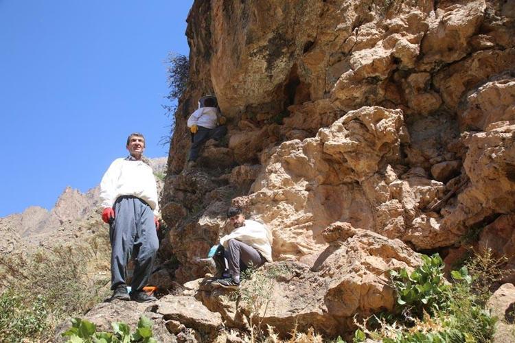 Yaklaşık 40 kiloya yakın bal alıyorum