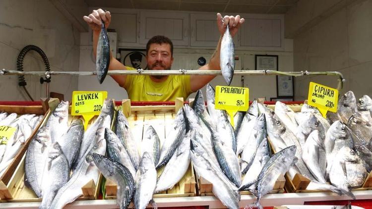 Sezonun ilk palamutları tezgahta Fiyatıyla yüzleri güldürdü