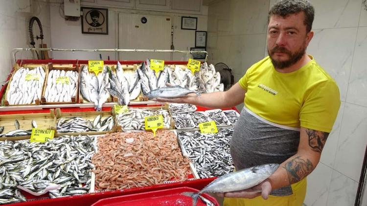 Sezonun ilk palamutları tezgahta Fiyatıyla yüzleri güldürdü
