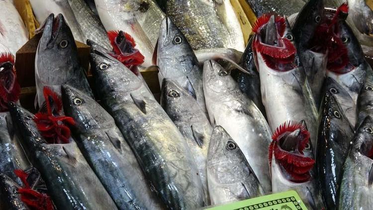 Sezonun ilk palamutları tezgahta Fiyatıyla yüzleri güldürdü