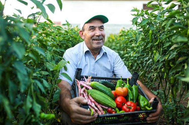 Paralar hesaplara yatırılacak Miras kalan tarla, toprak, bağ ile ilgili yeni karar