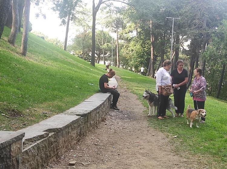Ünlü sanatçı Seda Fettahoğlu ölüm haberi ile sevenlerini üzdü Kahreden detay ortaya çıktı