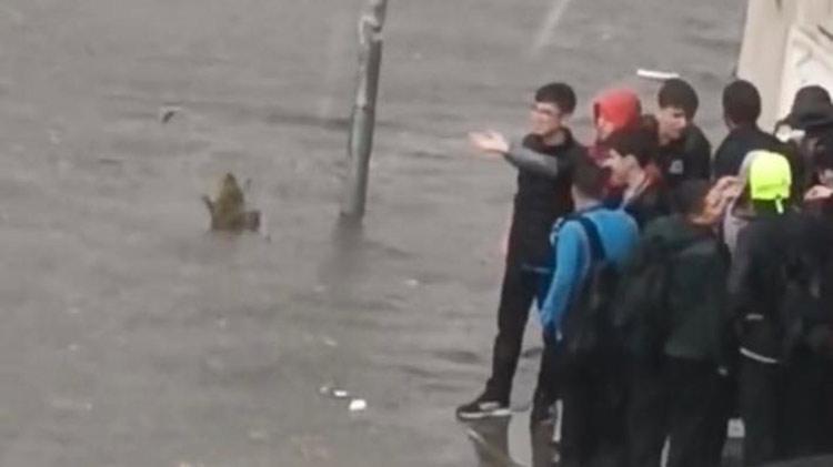 Meteoroloji son dakika kodu ile duyurdu İstanbul dahil 43 ilde alarm verildi, çok şiddetli olacak