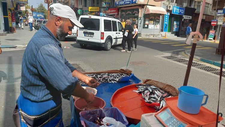 Balık fiyatları el yakıyor Hamsi, palamut, istavrit... Kilosu 150 liradan başlıyor