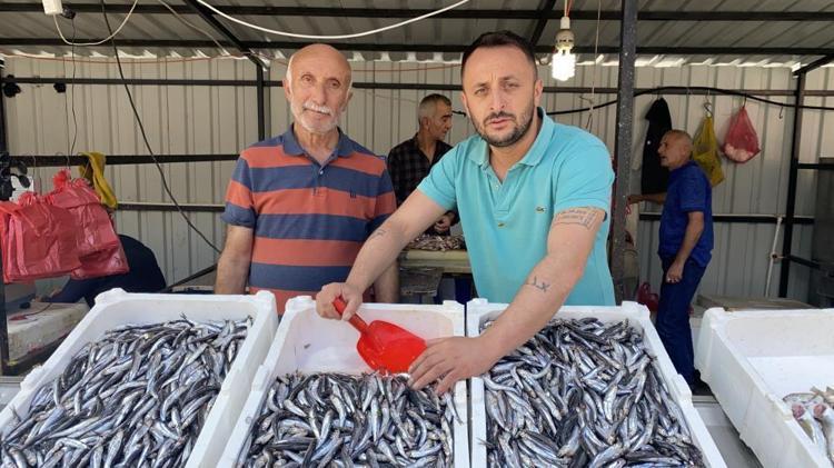 Balık fiyatları el yakıyor Hamsi, palamut, istavrit... Kilosu 150 liradan başlıyor