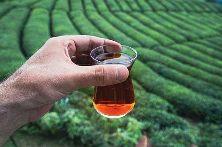 Çay kalp sağlığı için faydalı olabilir