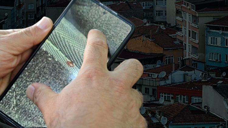 Şikayetler arttı Herkes uyuduktan sonra ortaya çıkıyor