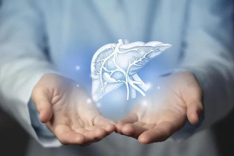 KARACİĞER GENÇLEŞİYOR