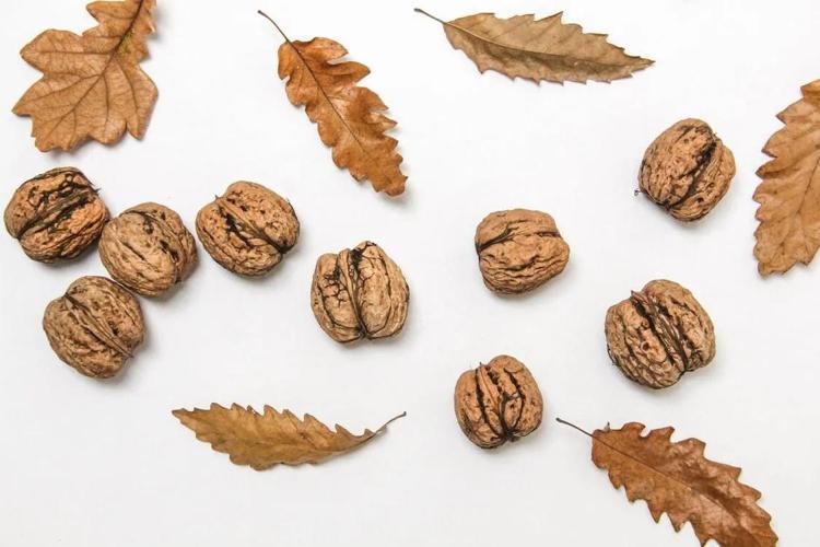 Beynin kimyasını altüst ediyor, depresyon ve anksiyete geliyor: Bu besinleri sokakta bile görseniz kaçın