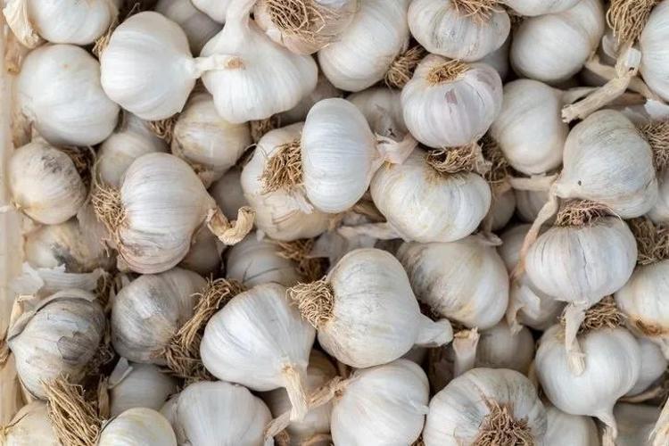 Kalbiniz hiç teklemeyecek Bu besin kalp hastalığı derdine derman oluyor