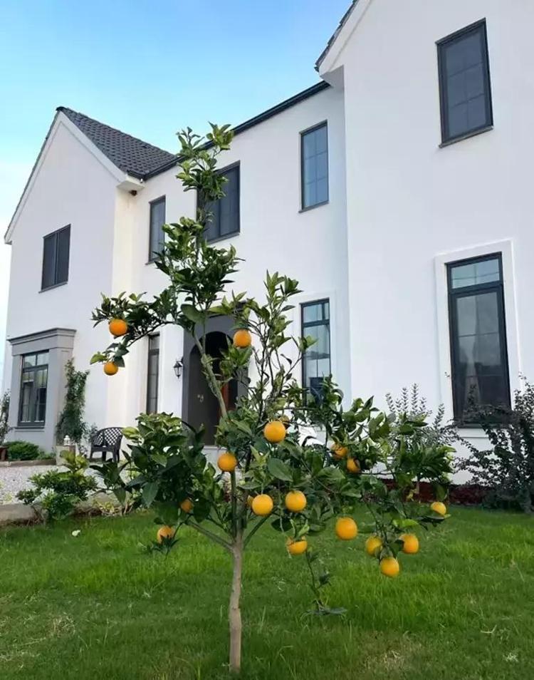 Ünlü çift kendilerine saray yaptı İstanbuldan kaçıp Köyceğizde hayallerinin evini inşa etti