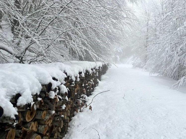 Havada kar kokusu var Hafta sonu tatili Cumadan başlayabilir Meteoroloji ilan etti: İstanbul kar yağışıyla tanışıyor