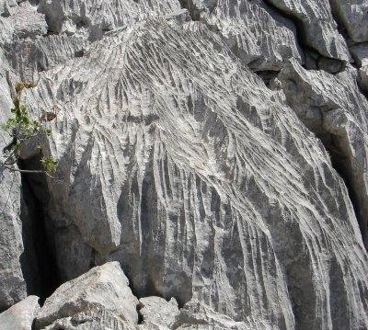 Havada kar kokusu var Hafta sonu tatili Cumadan başlayabilir Meteoroloji ilan etti: İstanbul kar yağışıyla tanışıyor