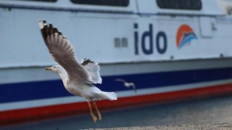 İDO, BUDO ve Şehir Hatlarında seferler iptal: 9 Ocak iptal edilen vapur seferleri listesi...