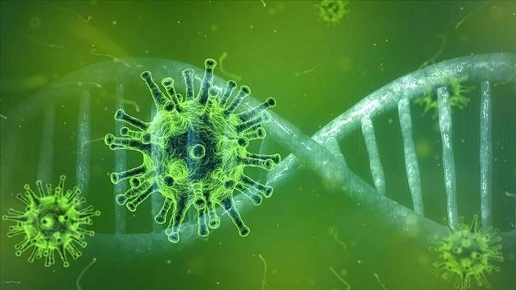 X hastalığı belirtileri nelerdir X virüsü Türkiyede görüldü mü DSÖden korkunç X virüsü açıklaması