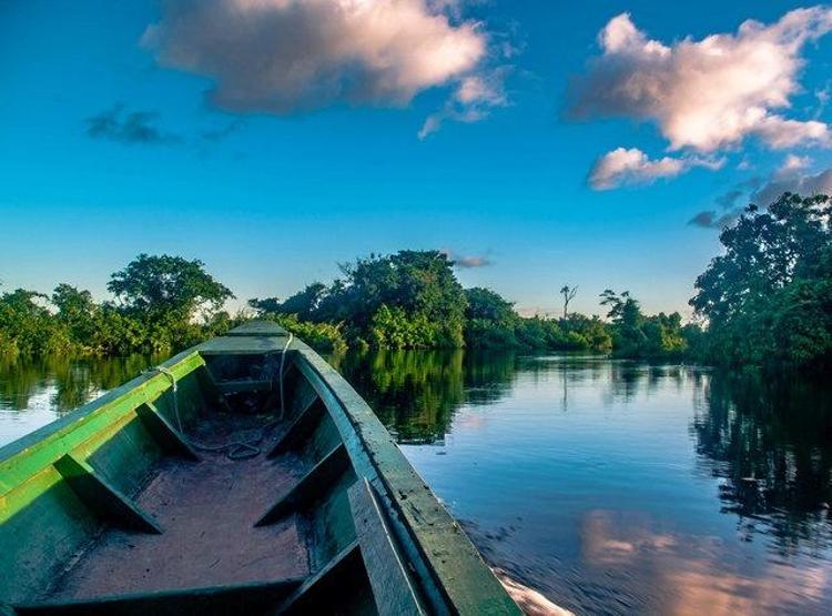 Ulusal Park: Madidi