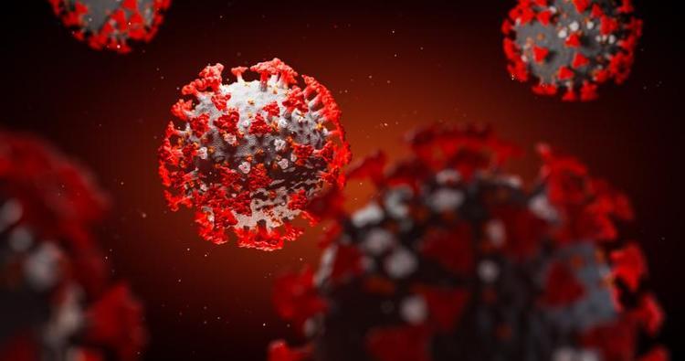 Zombi virüsü nedir, gerçek mi 2024 Yeni virüs mü çıktı 2024, Zombi virüsü Türkiyede var mı, ne yapar