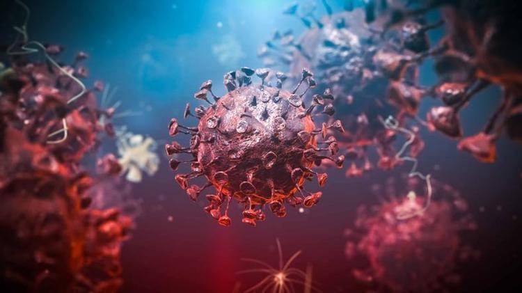 Zombi virüsü nedir, gerçek mi 2024 Yeni virüs mü çıktı 2024, Zombi virüsü Türkiyede var mı, ne yapar