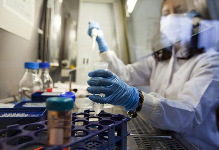 Zombi virüsü nedir, gerçek mi 2024 Yeni virüs mü çıktı 2024, Zombi virüsü Türkiyede var mı, ne yapar