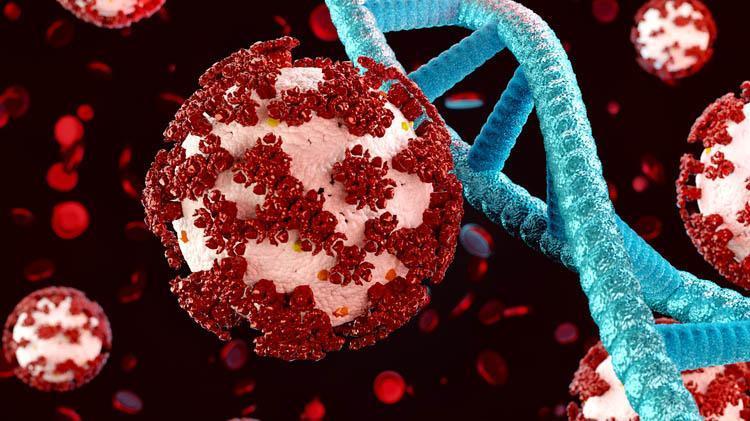 Zombi virüsü nedir, gerçek mi 2024 Yeni virüs mü çıktı 2024, Zombi virüsü Türkiyede var mı, ne yapar