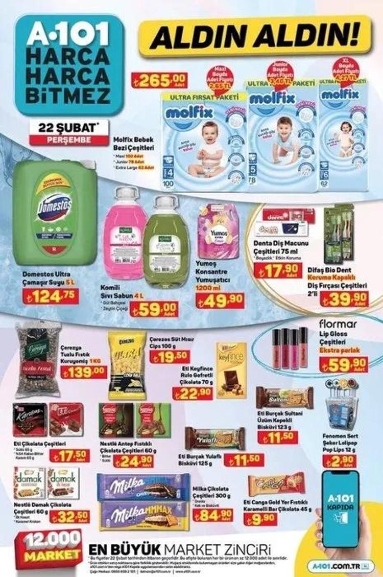 A101 22 Şubat aktüel katalog 2024: Koltuk-halı yıkama makinesi, ütü, süpürge...