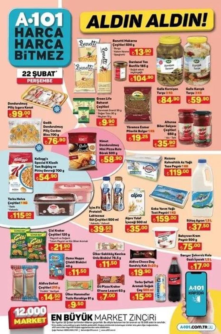 A101 22 Şubat aktüel katalog 2024: Koltuk-halı yıkama makinesi, ütü, süpürge...