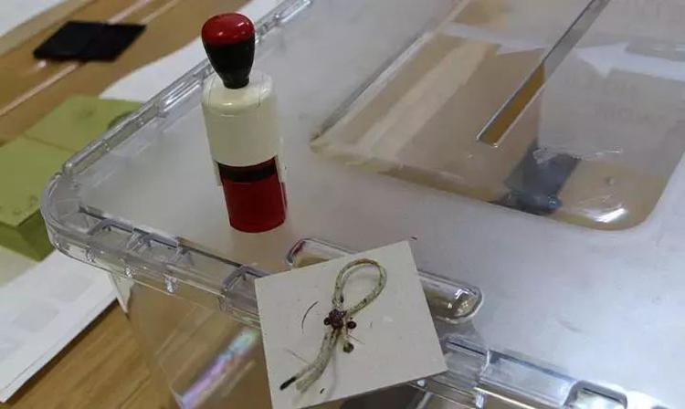 Seçmen kağıtları ne zaman dağıtılacak, nerede oy kullanacağım YSK seçmen kaydı sorgulama ekranı