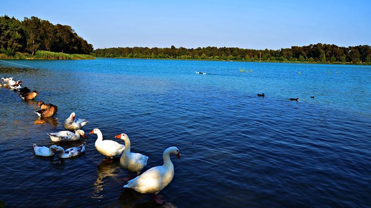 CEYHAN NEHRİ