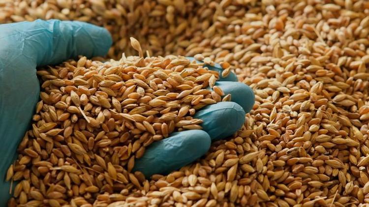 Berat kandilinde neden et pişirilir Berat kandili hububat pişirmek neden önemli, Berat kandili yemeği hububat nedir, nasıl yapılır