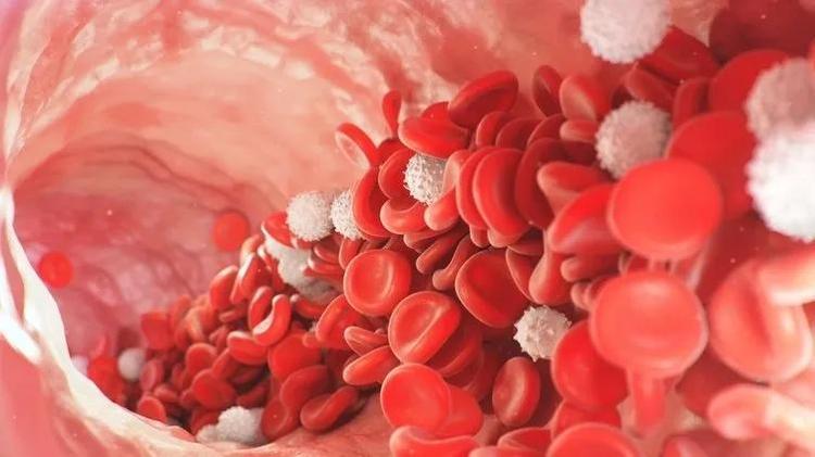 Yemekten sonra çay içenlere Prof. Dr. Canan Karataydan ölümcül uyarı: Öyle bir hastalığa yol açıyor ki...