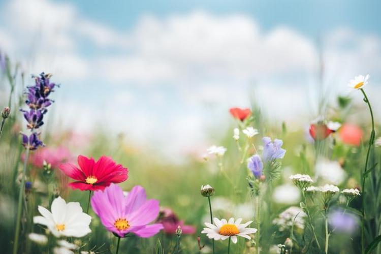 Nevruz bayramı nasıl kutlanır