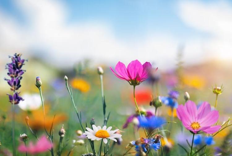 Nevruz ne zaman 2024 Nevruza kaç gün kaldı, nevruz ayın kaçında, nevruzda neden ateş yakılır ve ateşten atlanır