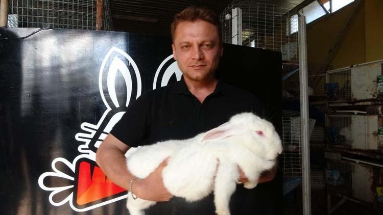 Etlik tavşanda ilk tabaklama çalışması başarıyla sonuçlandı Üretime kazandırıldı
