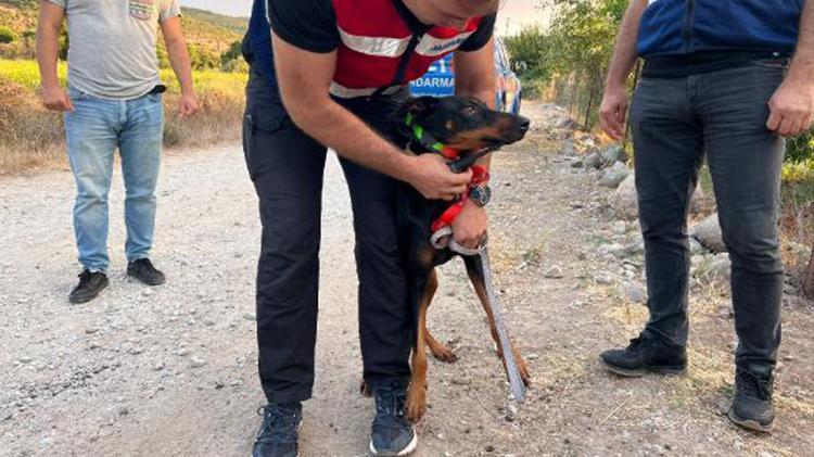 TİNA, ÇALIŞMALARA KATILDI ANCAK KATKISI OLMADI