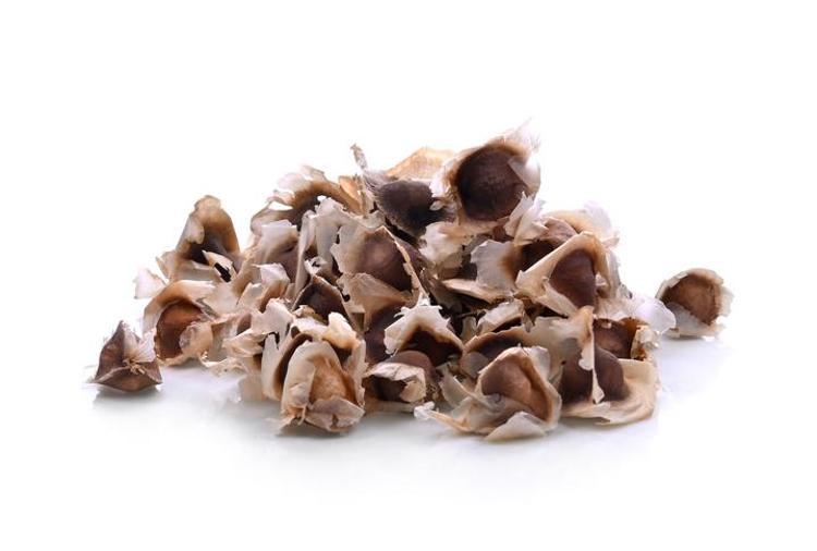Kırışıklıklardan eser bırakmıyor, 1 kaşığı 10 yaş gençleştiriyor Anavatanı Himalayalar olan Moringa yağının faydaları saymakla bitmiyor