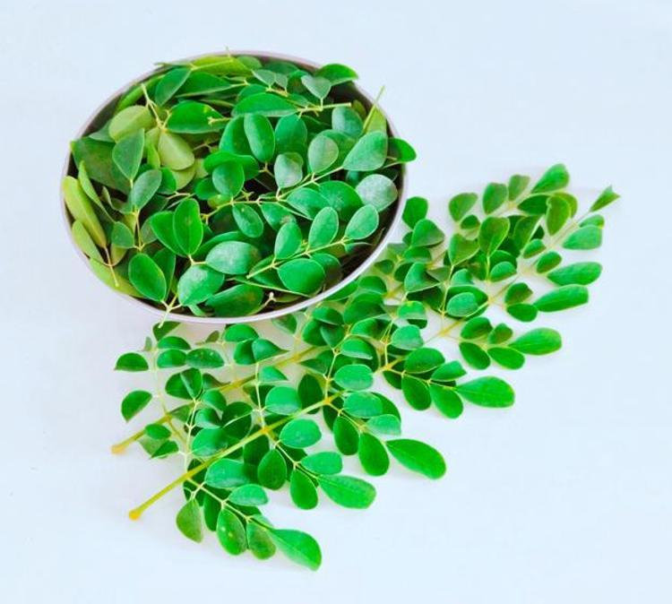 Kırışıklıklardan eser bırakmıyor, 1 kaşığı 10 yaş gençleştiriyor Anavatanı Himalayalar olan Moringa yağının faydaları saymakla bitmiyor
