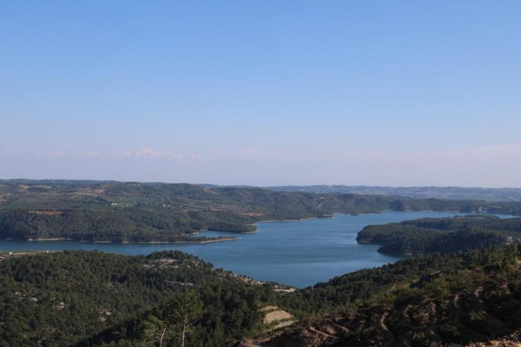 Adanada bulunan sarmaşık 4 bin yıldır zamanın izlerini taşıyor