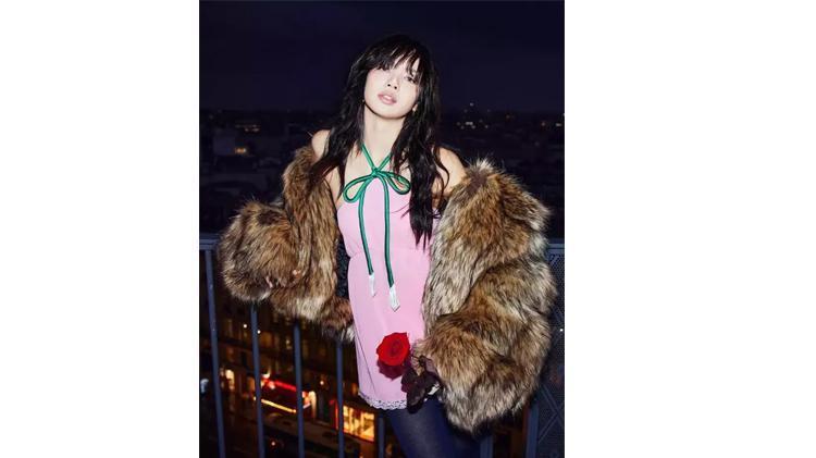 3. Lisa
