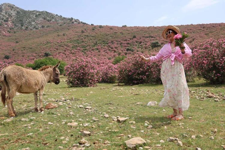 Adana dağlarını ölüm çiçeği bastı Kuran’da da ismi geçiyor
