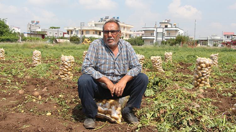 Patates üreticisi, market boykotuyla alım fiyatını yüzde 20 artırdı
