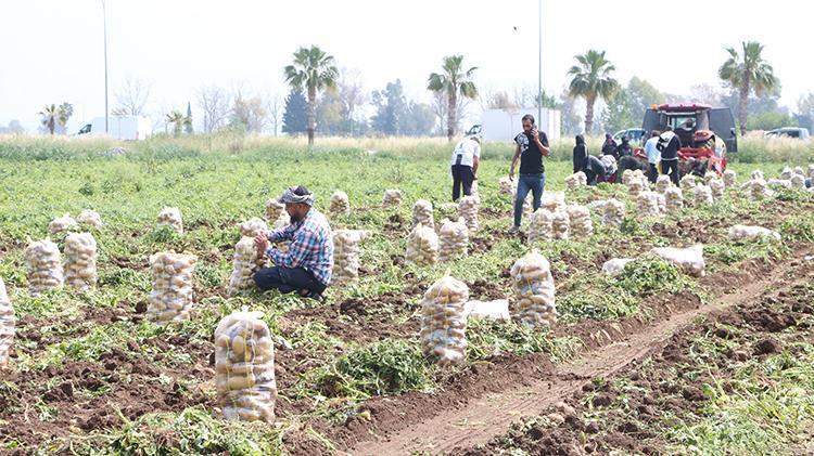 Patates üreticisi, market boykotuyla alım fiyatını yüzde 20 artırdı