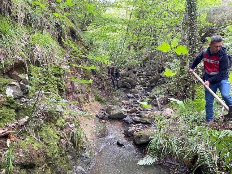 Berzegin ölüm nedeniyle ilgili Adli Tıp raporu çıktı: Ölüm nedeni belirlenemedi
