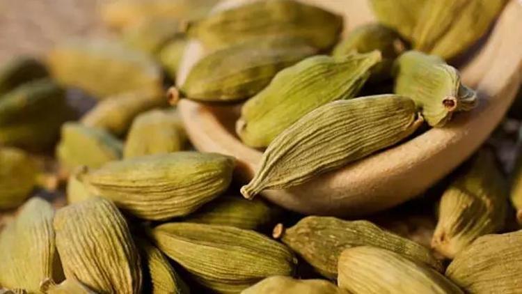 Safran kadar pahalı: Osmanlı saraylarında en çok o vardı Mide ve hazımsızlığa birebir Padişahlar her gün bir tutam tüketiyordu